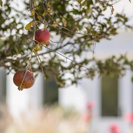 Appartamento Alykes & Agios Prokopios (Naxos)